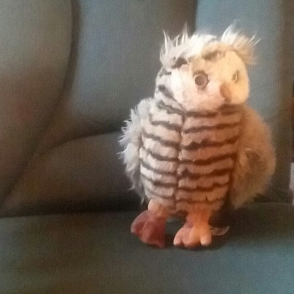 A stuffed animal Owl